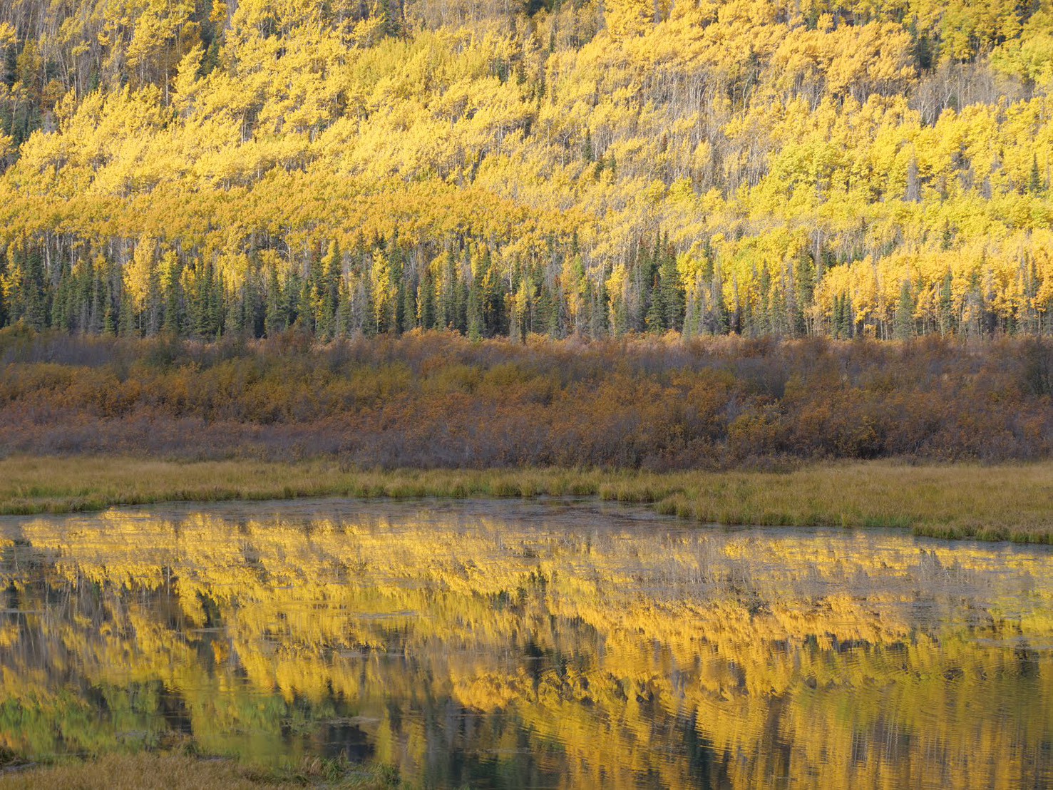 LINE_ALBUM_キナ_260126_46