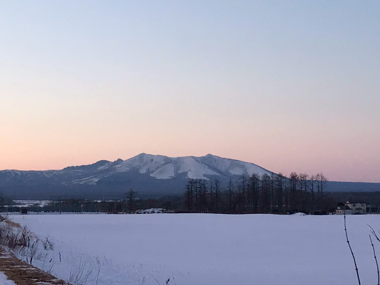 LINE_ALBUM_キナ_260126_49